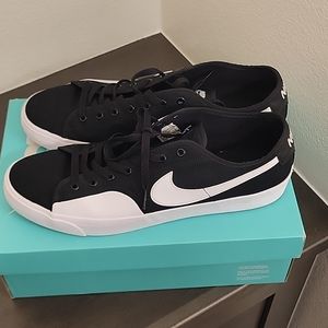 Nike SB skate